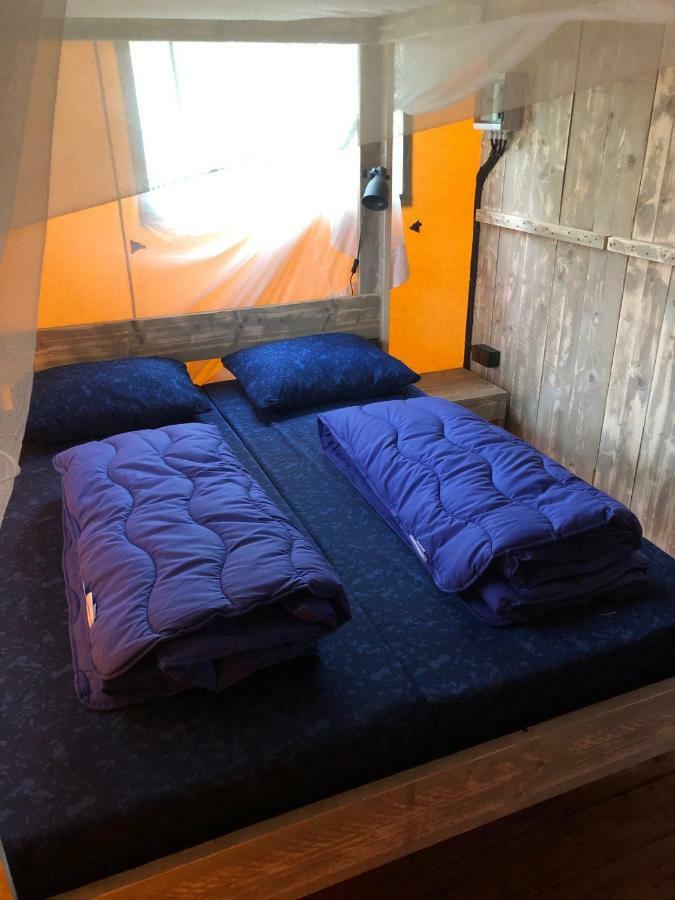 Camping Ginsterveld 버그함스테드 외부 사진